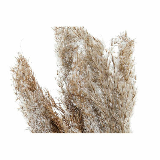 V13H01B49AE53E3AF97F283317C515B0B97AR6377100P2