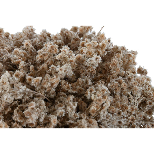 V6HF531E843DE66D958AC479A802C19BFCER4456792P2