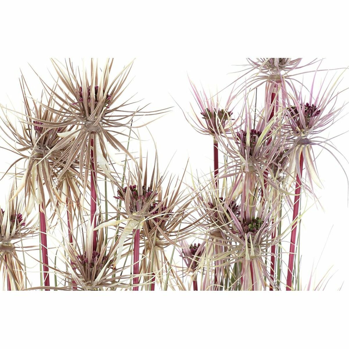 V11H817DABB51EE7798FF21AA4DACA324747R5661366P2