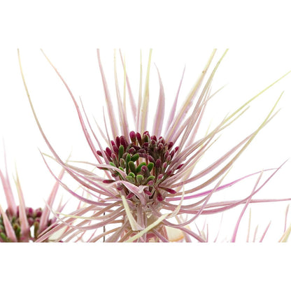 V11HE67FF705CD0F8BF0CF8C8C2EB173A2F0R5661371P4