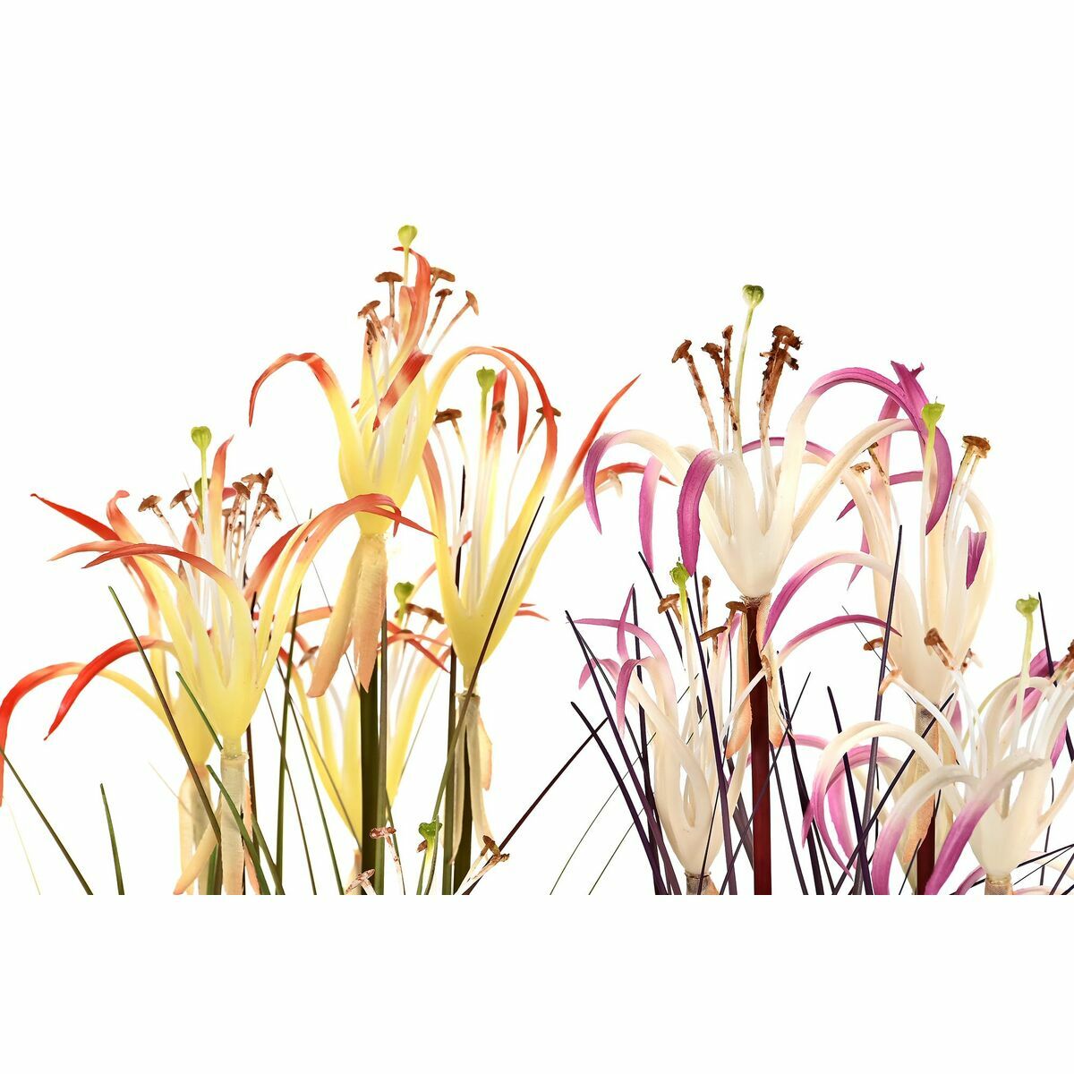 V11HECEFC08C45A7128CB252F24043AD3A5CR6377939P2