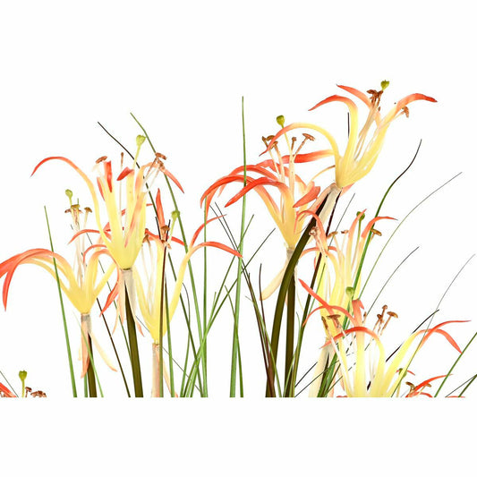 V11H4C69CC8020DB1E30816A16D7BF1D0C6FR4985914P2