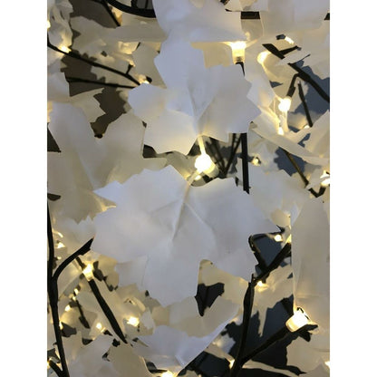 V7H1B73DFD5635875A030E709B04B7B8EA6R7104768P3