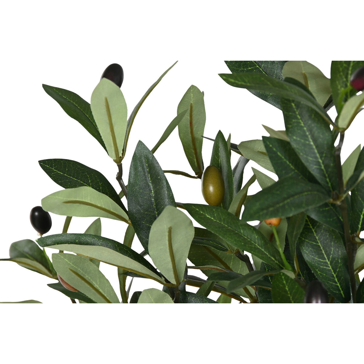 V4H078F598D4D2044626A7D66570D76243CR7521907P2