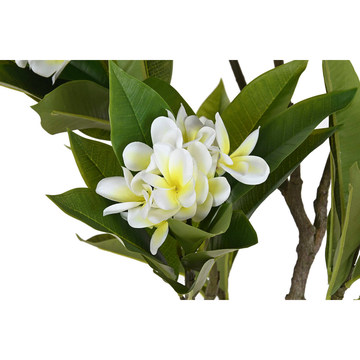 V5H0799B77D896F50EFE941F293E8B1B4EAR5676124P2