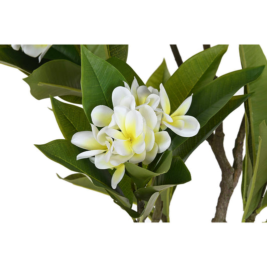 V5H0799B77D896F50EFE941F293E8B1B4EAR5676124P2