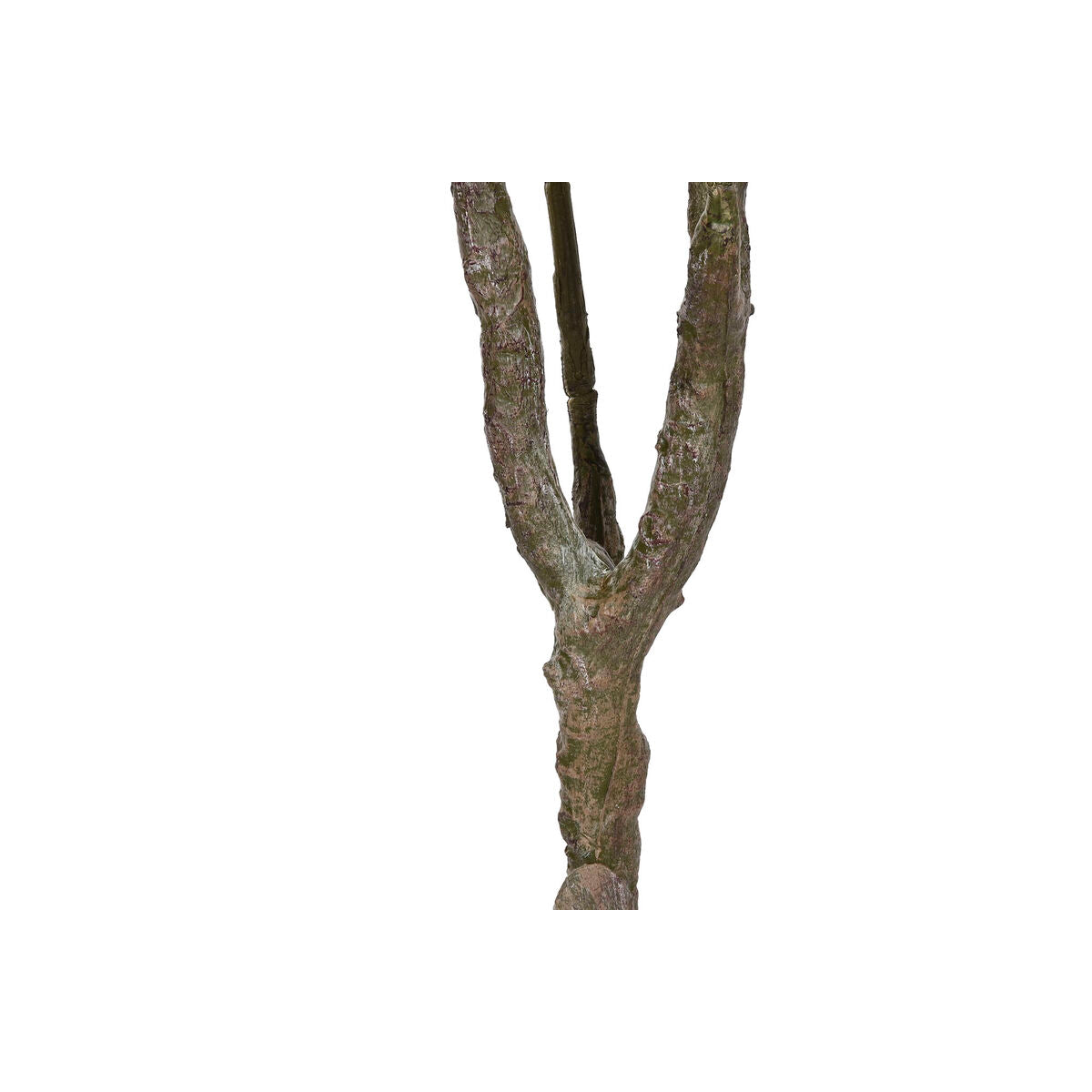 V5H41ABFAE52A3AE3DF66EA4A192D86EAE5R5676126P3