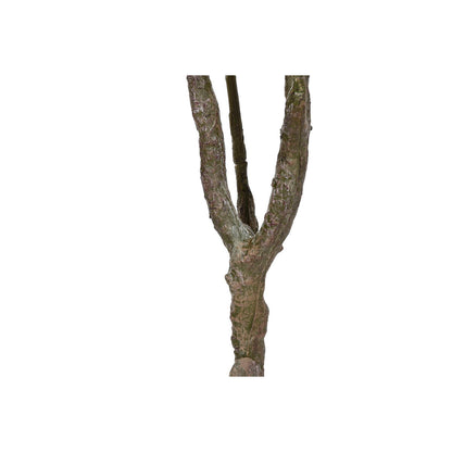 V5H41ABFAE52A3AE3DF66EA4A192D86EAE5R5676126P3