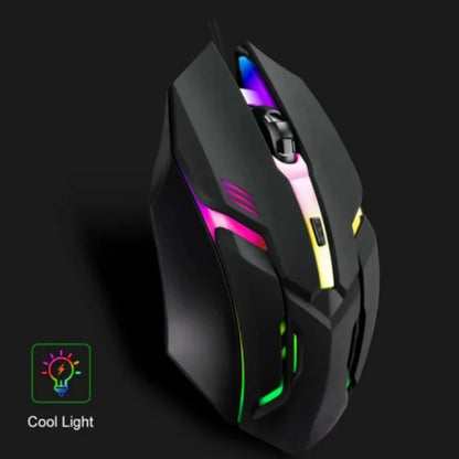 Souris gaming RGB filaire 3 niveaux de DPI