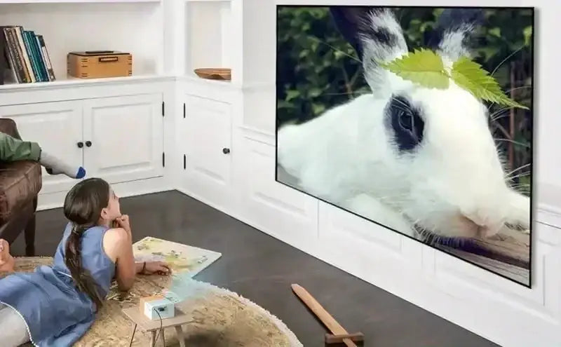 TV Yler Light YG300 portable affichant lapin blanc à marques noires