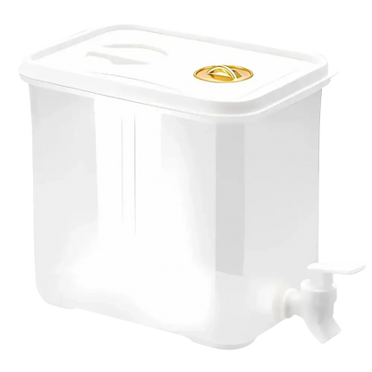 Carafe à eau froide pour réfrigérateur grande capacité bouilloire à thé distributeur de boissons glacées d’été camping